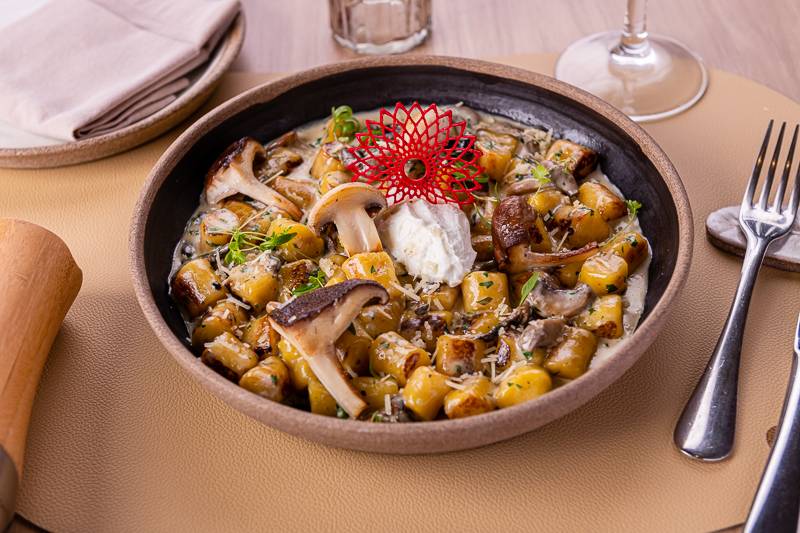 gnocchi-de-mandioquinha-ao-molho-de-cogumelos-frescos-queijo-serra-da-canastra-e-coalhada (Koré)