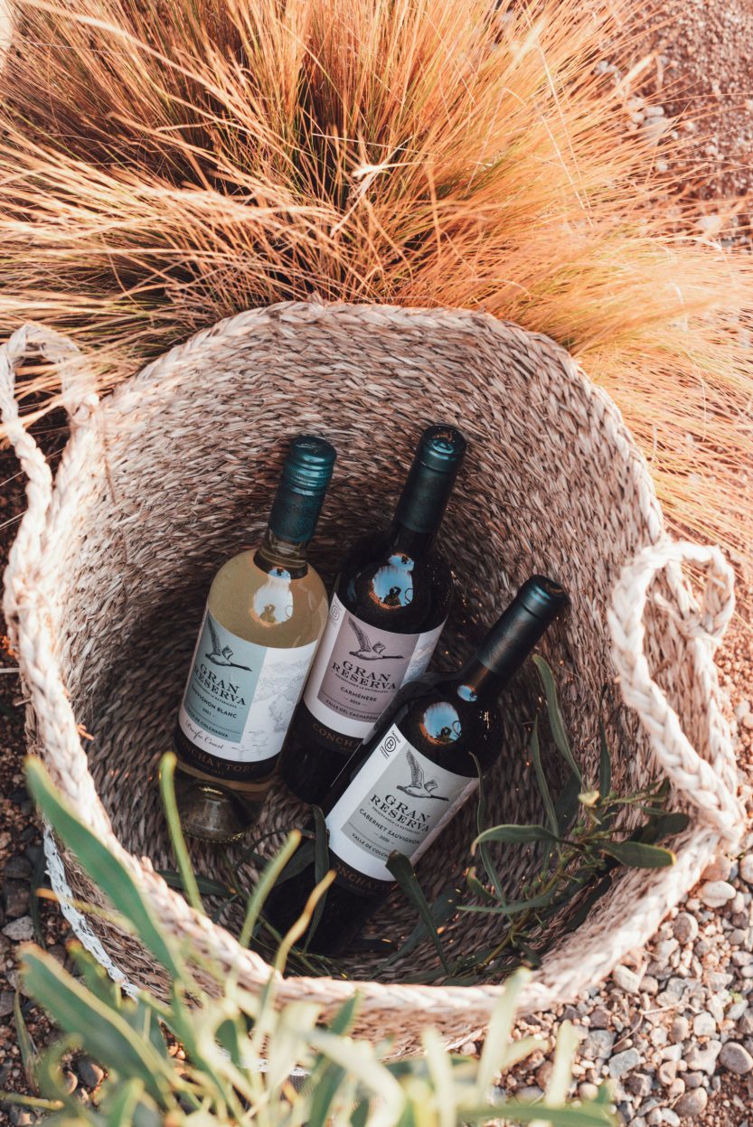 Gran_Reserva_ Concha y Toro (5)