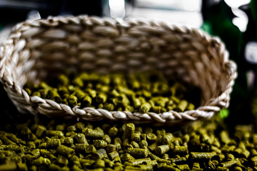 LÃºpulo_em_pellets_do_Grupo_PetrÃ³polis_(20)