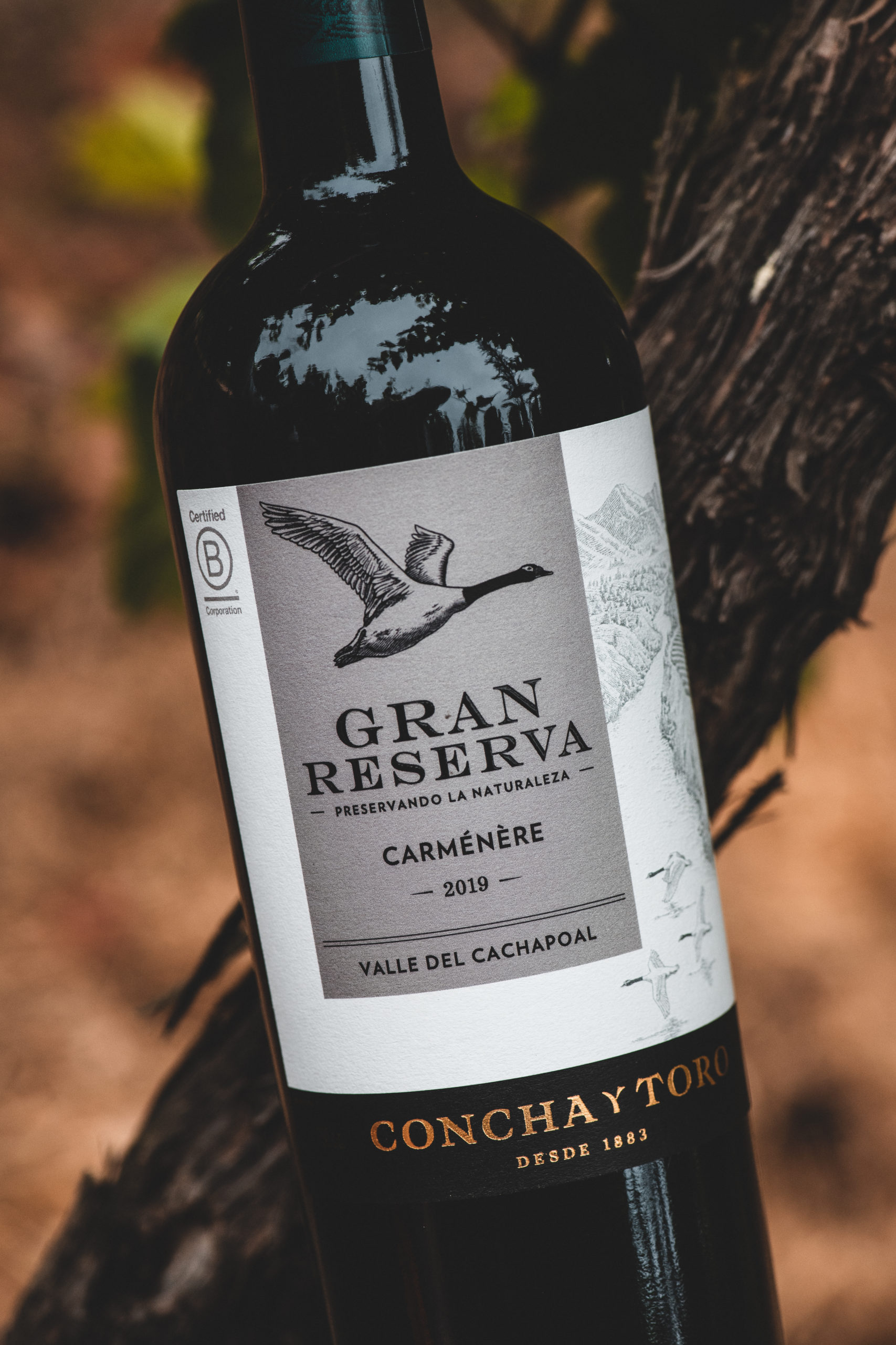 gran-reserva-3-52745