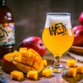 WayBeer-Manga_fotoPriscillaFiedler-1 (1)