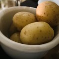 IMG_0246 2
