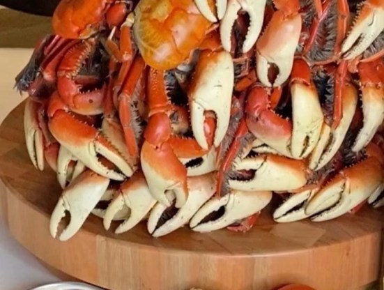 320466466_634219768502532_6431696721964828719_n