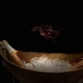 IMG_2537