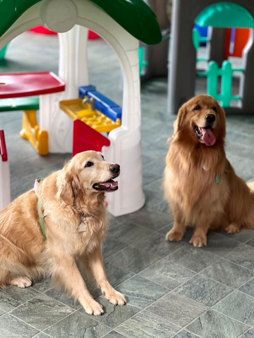 Recanto Restô Bar Pet Friendly