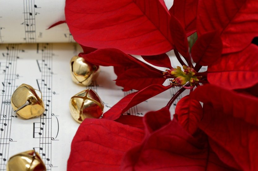 recital de natal_pixabay
