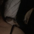 IMG_1571