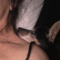 IMG_1573