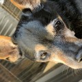 IMG_2026