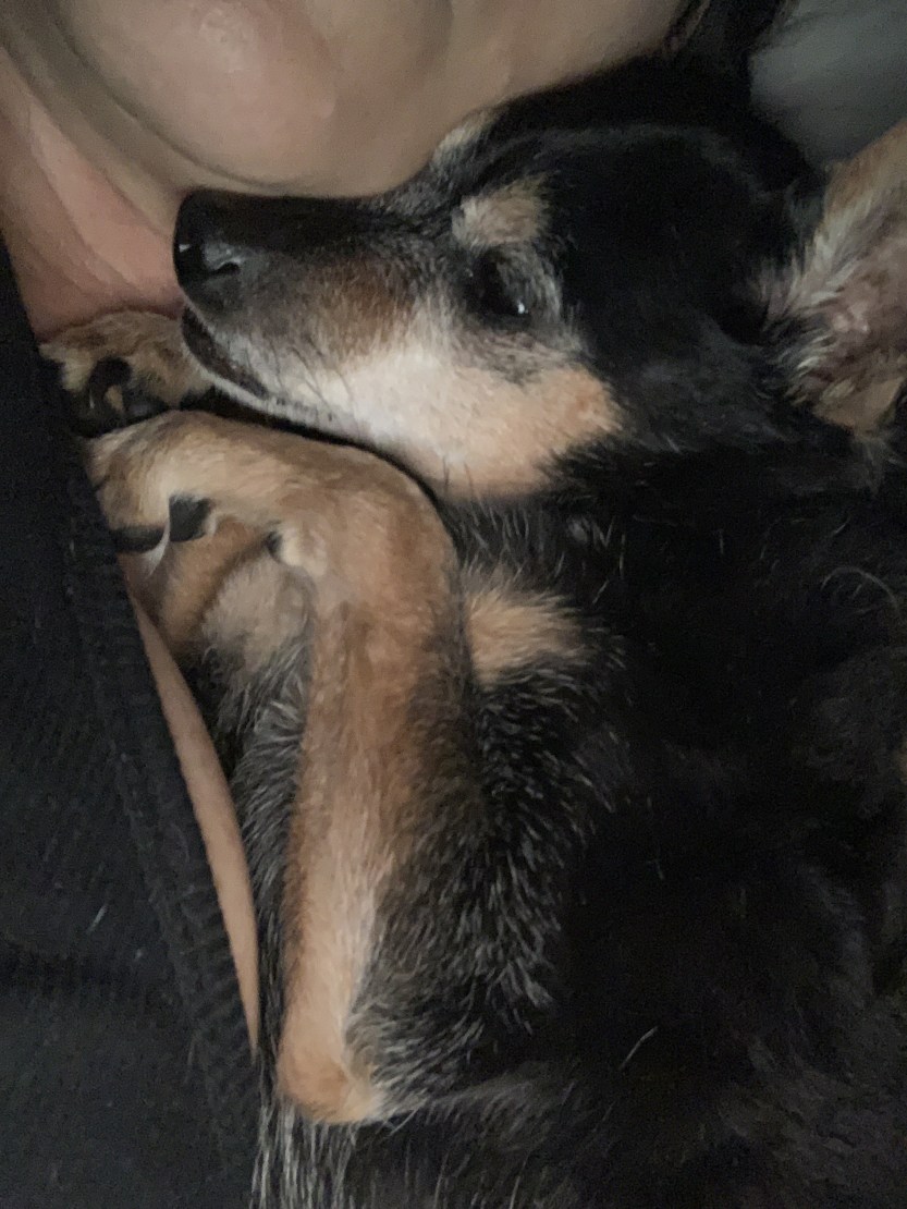 IMG_2497 2