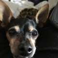IMG_3708 2