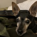 IMG_3720