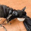 IMG_3877
