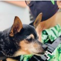 IMG_4164