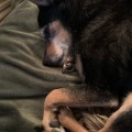 IMG_4289