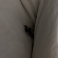 IMG_4412
