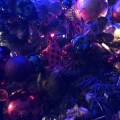 IMG_5035