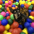 IMG_9747