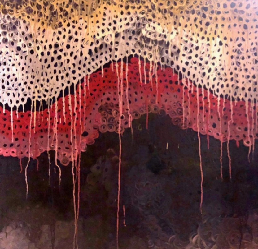 ca55d35a-02fe-4732-85d0-533b207701c1