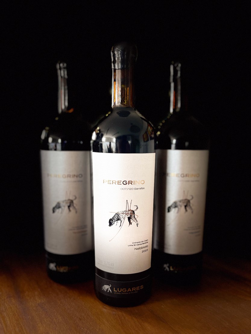 1edb8af0-bc79-4cfd-9d1f-828575c0088c