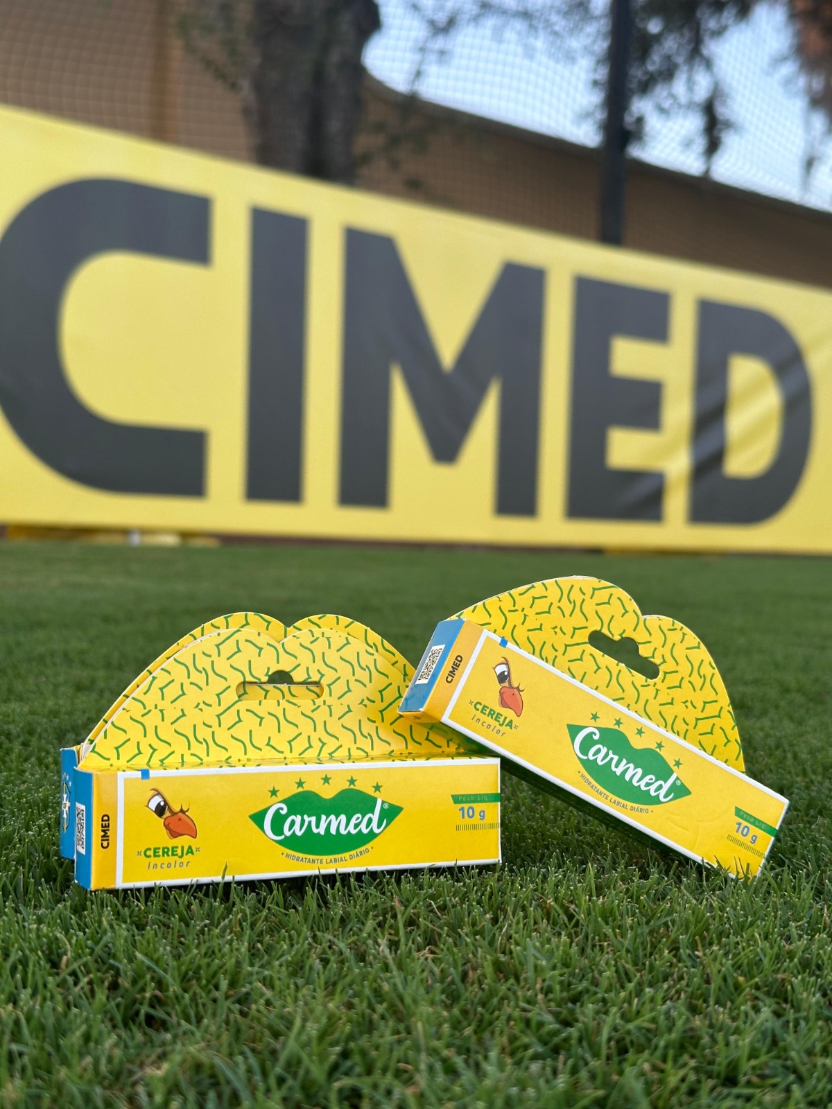 WhatsApp Image 2024-09-05 at 11.46.53