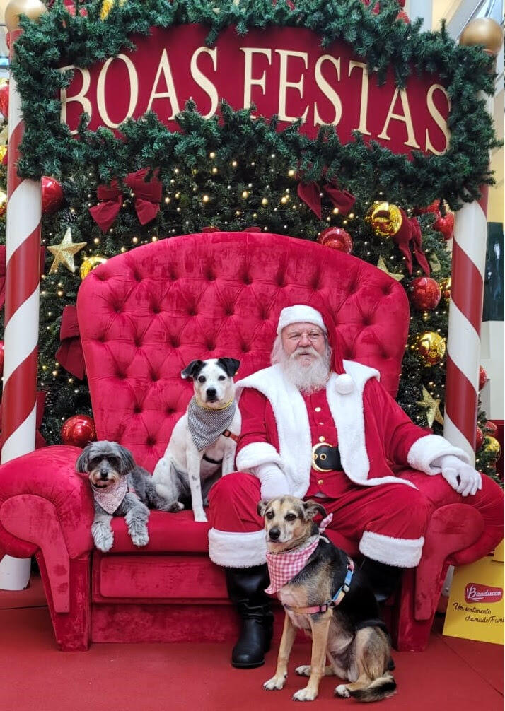 Natal pet