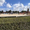 IMG_7187