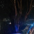 IMG_8338 3