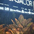 IMG_8366